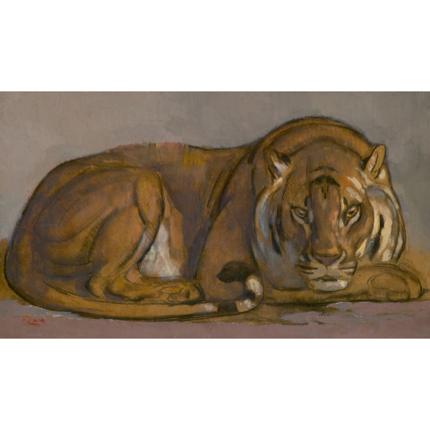 Tigre couché, tête de face. 1932.